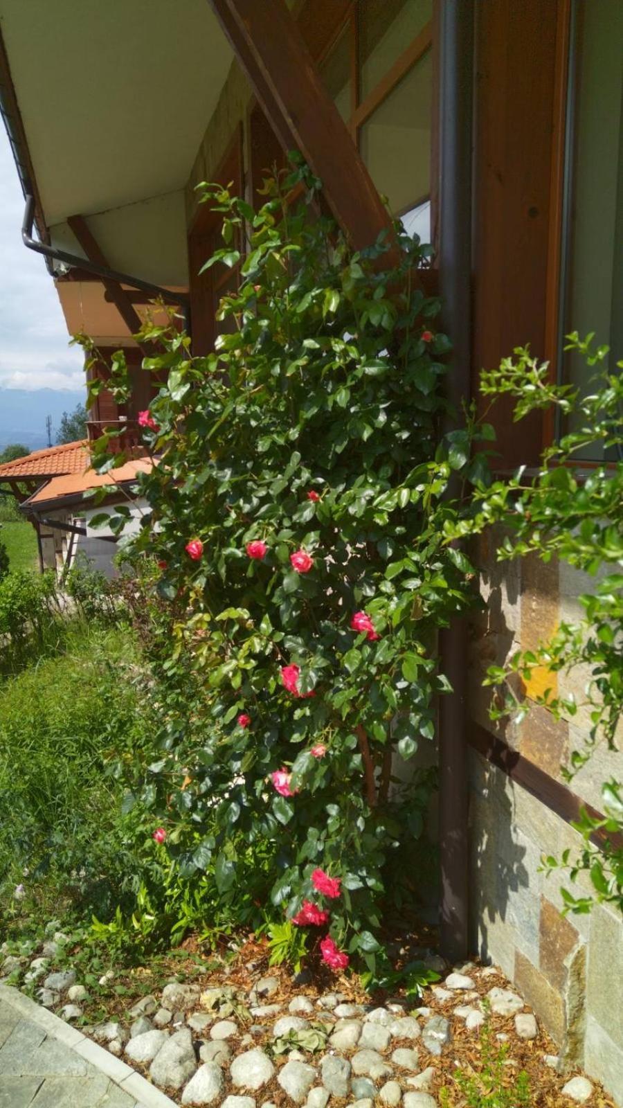 Panorama Resort Residence Bansko Exterior foto